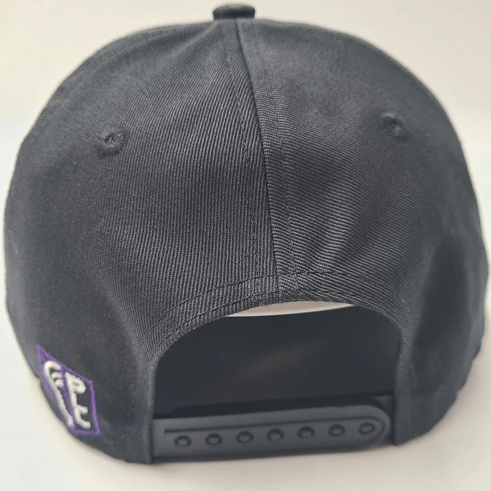Philadelphia Waterdogs Hat Snapback Black Purple Rope PLL Lacrosse Script Men